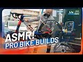 Asmr 2024 pro bike builds  giant propel advanced sl and liv langma advanced sl disc