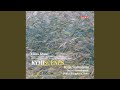 Capture de la vidéo Violin Concerto, Op. 32: I. Allegro Molto Moderato