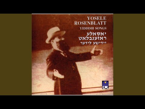 Der Pogrom In Kischinev