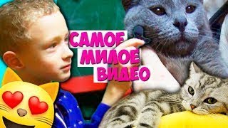 Приехали в Котокафе в Москве // ОЧЕНЬ МНОГО КОШЕК / Котята играют с детками Приехали в Котокафе в Москве // ОЧЕНЬ МНОГО КОШЕК / Котята играют с детками