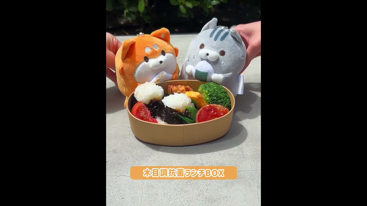 🧡ボンレス犬とボンレス猫 GO OUT ランチアイテム🧡