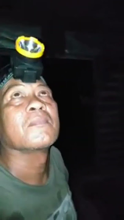 suara burung walet menginap