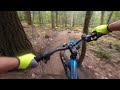 VR180 Durham Forest -The Maze from Maple Gravy