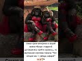 Самая яркая вечеринка в вашей жизни. #юмор #ржач #прикол #мем #мемас #шуточное  #смешновидео #memes