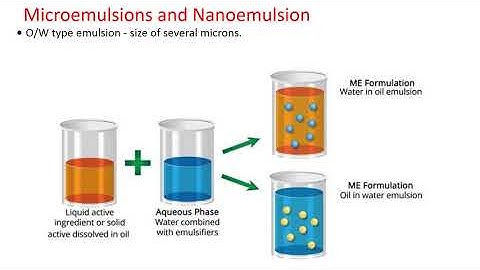 Herbal NDDS Part 3: Dr Bhushan P Pimple