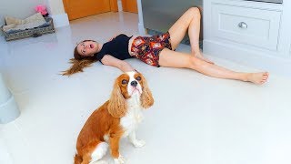 PETS REACT to us FAKING our DEATH! 🐶☠