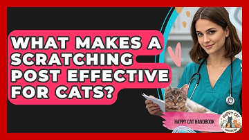 What Makes A Scratching Post Effective For Cats? - Happy Cat Handbook