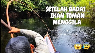 Download Lagu SETELAH BADAI REDA .. ENTAH MENGAPA IKAN DISUNGAI INI MENGAMUK .. !!! .. 😰😱 .. MP3 Download Lagu SETELAH BADAI REDA .. ENTAH MENGAPA IKAN DISUNGAI INI MENGAMUK .. !!! .. 😰😱 .. MP3