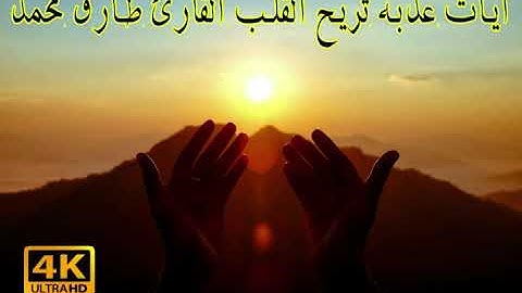 ايات عذبه تريح القلب ❤️ القارئ طارق محمد ❤️ Tareq Mohamed
