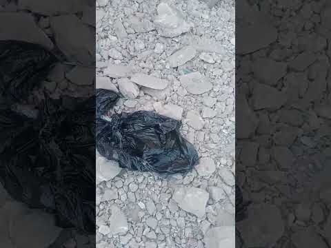 خ رط ه ووزع ه ه نا أنهى تلميذ حياة زميله في الإسماعيلية