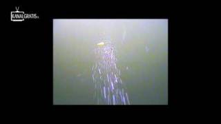 Unik UV test.mp4