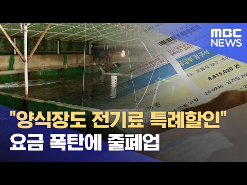 <strong>수산</strong> 양식장, &amp;#39;전기료 폭탄&amp;#39;에 휘청.. &amp;#39;폐업&amp;#39; 속출 (2024.06.25/뉴스데스크/포항MBC)