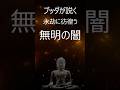 ブッダが説く「真実の怪談」～永劫に彷徨う無明の闇～ #怪談