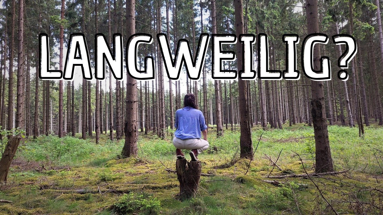 Manche Menschen langweilen sich im Wald