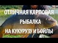 УСПЕШНАЯ КАРПОВАЯ РЫБАЛКА. ЛОВЛЯ КАРПА на КУКУРУЗУ и БОЙЛЫ