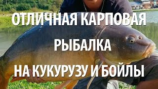 УСПЕШНАЯ КАРПОВАЯ РЫБАЛКА. ЛОВЛЯ КАРПА на КУКУРУЗУ и БОЙЛЫ