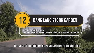 Vietnam Tourism - Can Tho City. Part 4: Tourism Village and Bang Lang Stork Garden | DTV Vlog