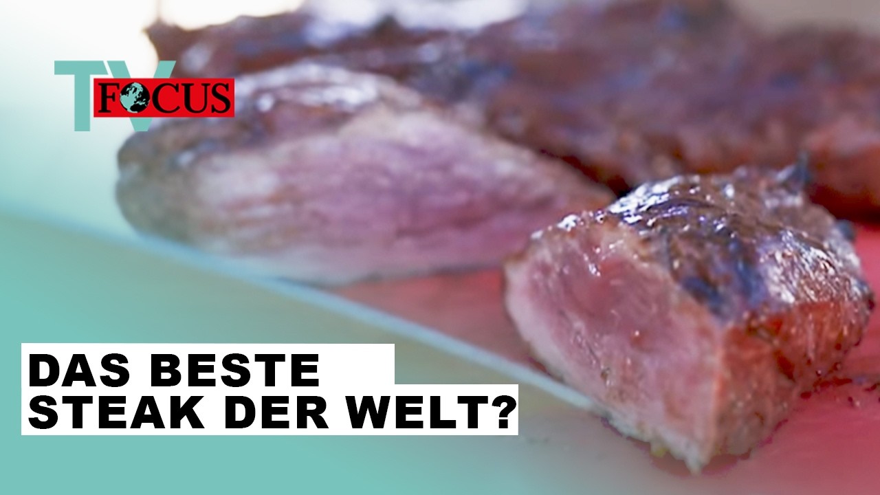 Wer grillt das beste Steak der Welt? Die Grill-WM in Stuttgart | Focus ...