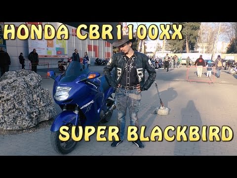 Видео: #Докатились! Honda CBR1100XX SUPER BLACKBIRD