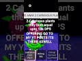 DM ME ON DISCORD GO TO MY YT POSTS