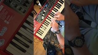 The #Mellotron Solo to #StrawberryFields from #SergeantPepper