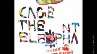 Cage The Elephant - Around My Head (Thank You, Happy Birthday)
