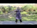 Wudang sanfeng taijiquan 18 shi