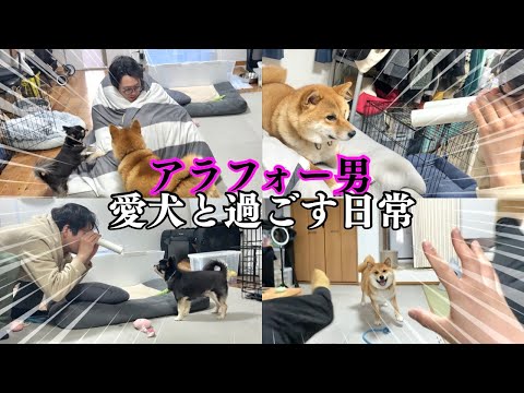 mayuppe　柴犬&チワワ　6点 Shiba Inu and Chihuahua x Full Power Man] An old man boy playing