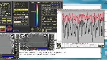 Intro to FMRI Functional Connectivity