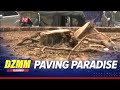 600 trees along Quirino Ave to be cut down for SALEX project