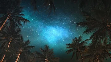 White Noise Sounds | Palm Trees Swaying on A Starry Windy Night For Sleep