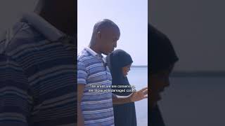 Matumbawe Film -TonyWild and REEFolution Foundation