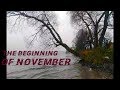 Атмосферное видео с природой /the beginning of November/Начало ноября