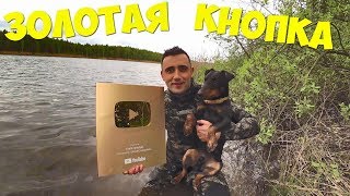 Золотая кнопка! Подводная охота! Грибной салат! Золотая кнопка! Подводная охота! Грибной салат!