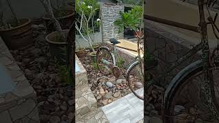 nostalgia sebuah basikal lama.#antik##