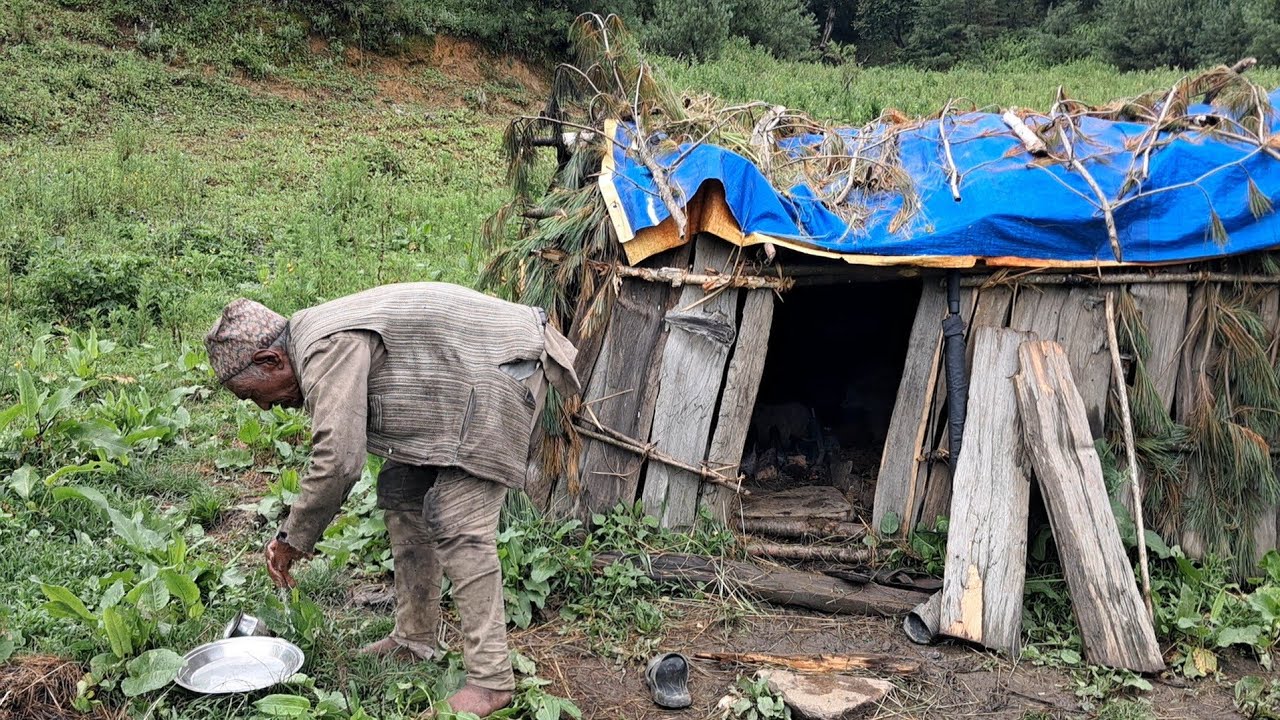 Himalayan village life during the snow fall day | Shepherd life in Nepali mountain village |