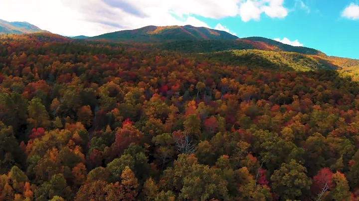 Fall in Pisgah Forest, NC