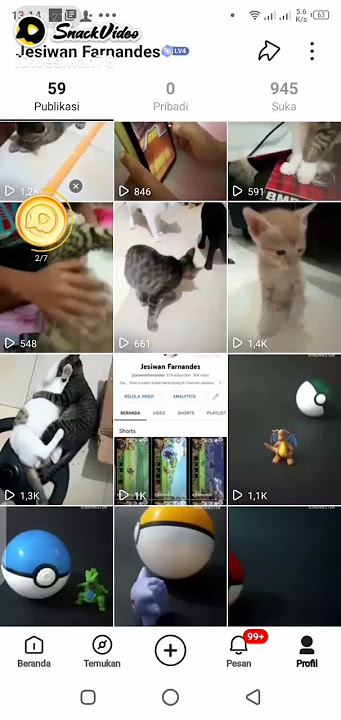 JF SNACK VIDEO (2) #snackvideo #snacks @jesiwanfarnandes