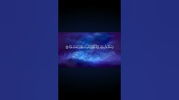 ✨ سورة مريم | الآية 15 | احفظ معنا كل يوم آية واحدة فقط 🌙