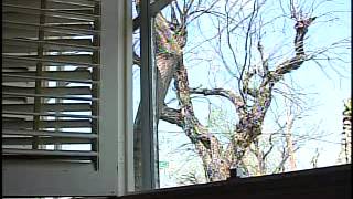 McAllen Residents Continue Clean up Process
