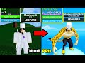 Beating blox fruits as rob lucci lvl 1 to max lvl noob to pro in blox fruits