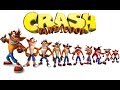 Crash Bandicoot - Crash'es