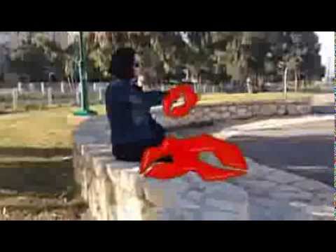 Шалом Шалом