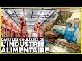 Alimentation industrielle  quy atil vraiment dans nos assiettes 