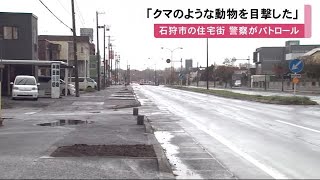 「クマのような動物が」朝の