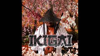 Tman Xpress  The Last Samurai Album Mix  Mixed By Elric Sheigo