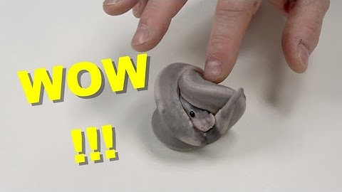 These Ball Pythons Are Insane !! Clutch Update!!