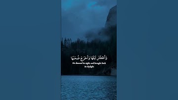 اانتم اشد خلقا ام السماء بناها ✒️ قرآن كريم ✒️ عبدالله احمد شعبان #قرآن #اكسبلور #اسمعنا #راحة_نفسية
