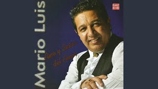 Video thumbnail of "Mario Luis - Quiero Saber de Ti"