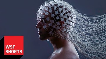 Is a Brain Upload Possible? Max Tegmark on Whole Brain Emulation